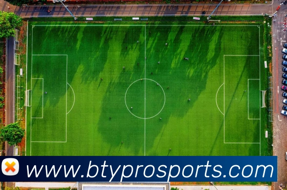 B体育平台生态图